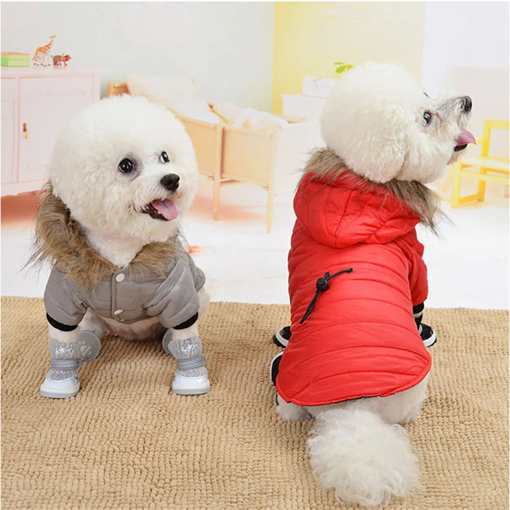 Dog Coat Small Dog Jacket Windproof Warm Padded down Hoes 