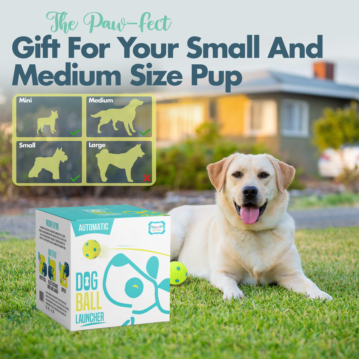 Automatic Dog Ball Launcher - Dog Ball Fetch Machine for Small to Medium Sized Dogs, Great Interactive Dog Toy with 6 Latex Balls, Dual Power Supply
