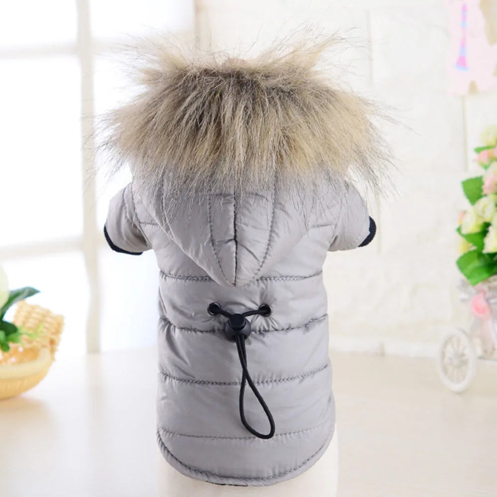 Dog Coat Small Dog Jacket Windproof Warm Padded down Hoes 