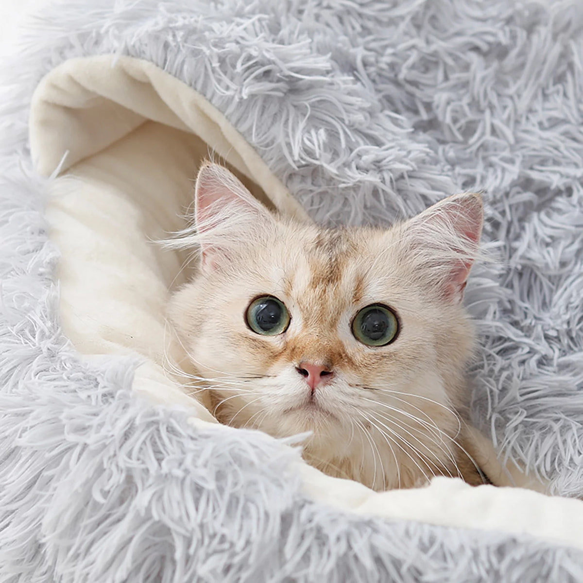 Calming Dog Beds & Cat Cave Bed with Hooded Cover,Removable Washable round Beds for Small Medium Pets,Anti-Slip Faux Fur Fluffy Coved Bed for Improved Sleep