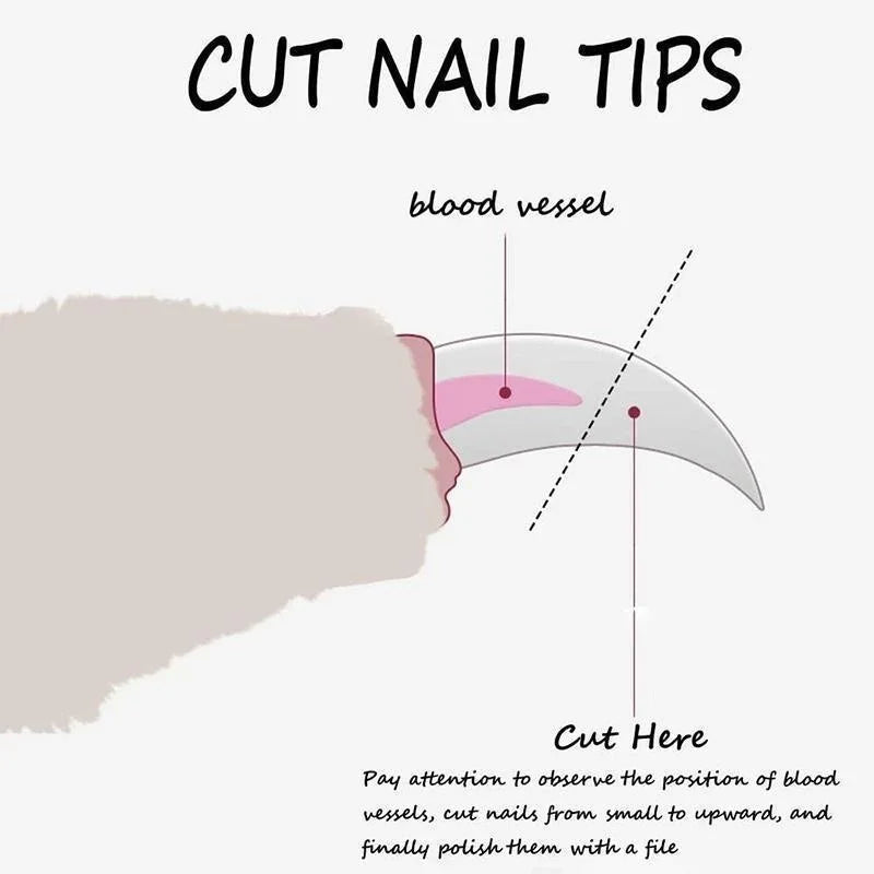 Pet Nail Clipper for Dogs & Cats, Pet Supplies, Pet Grooming