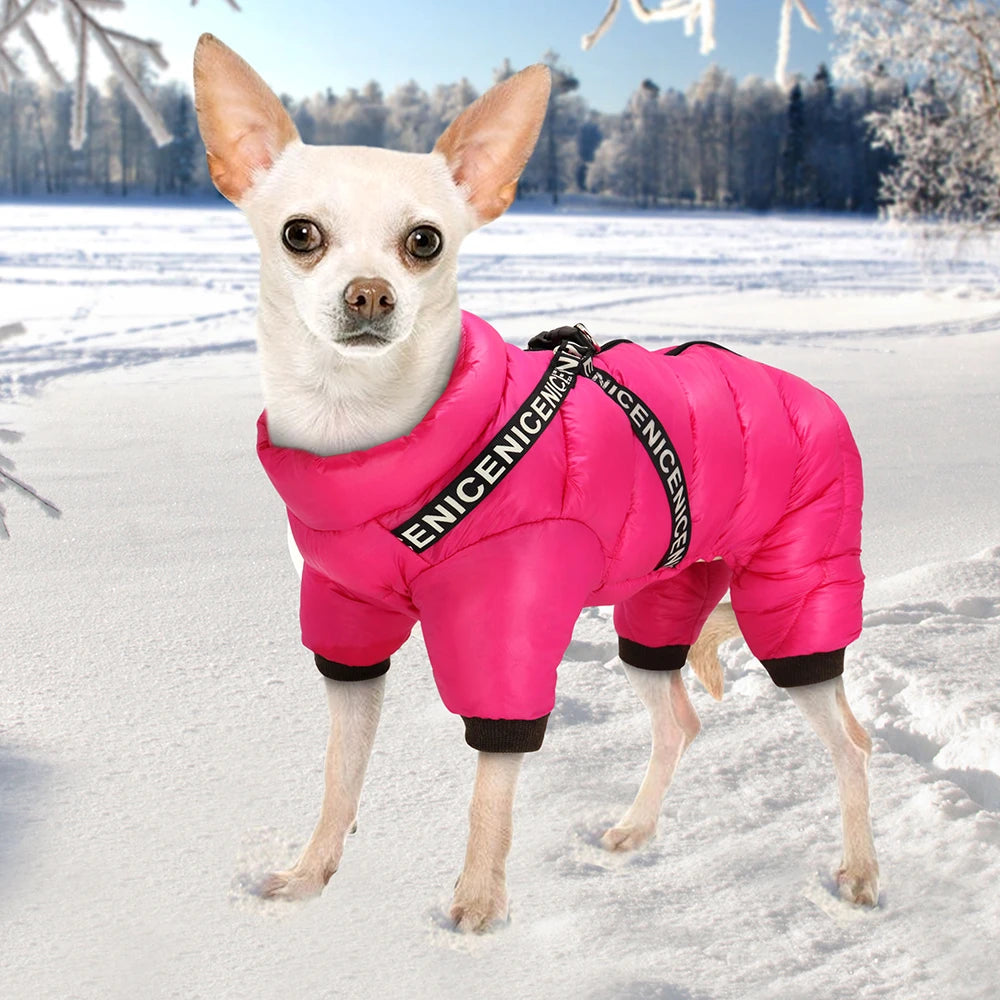 Winter Pet Clothes Super Warm for Dogs