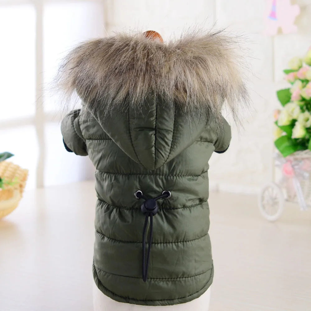 Dog Coat Small Dog Jacket Windproof Warm Padded down Hoes 