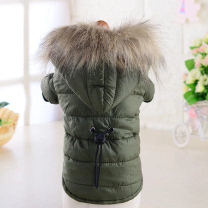 Dog Coat Small Dog Jacket Windproof Warm Padded down Hoes 