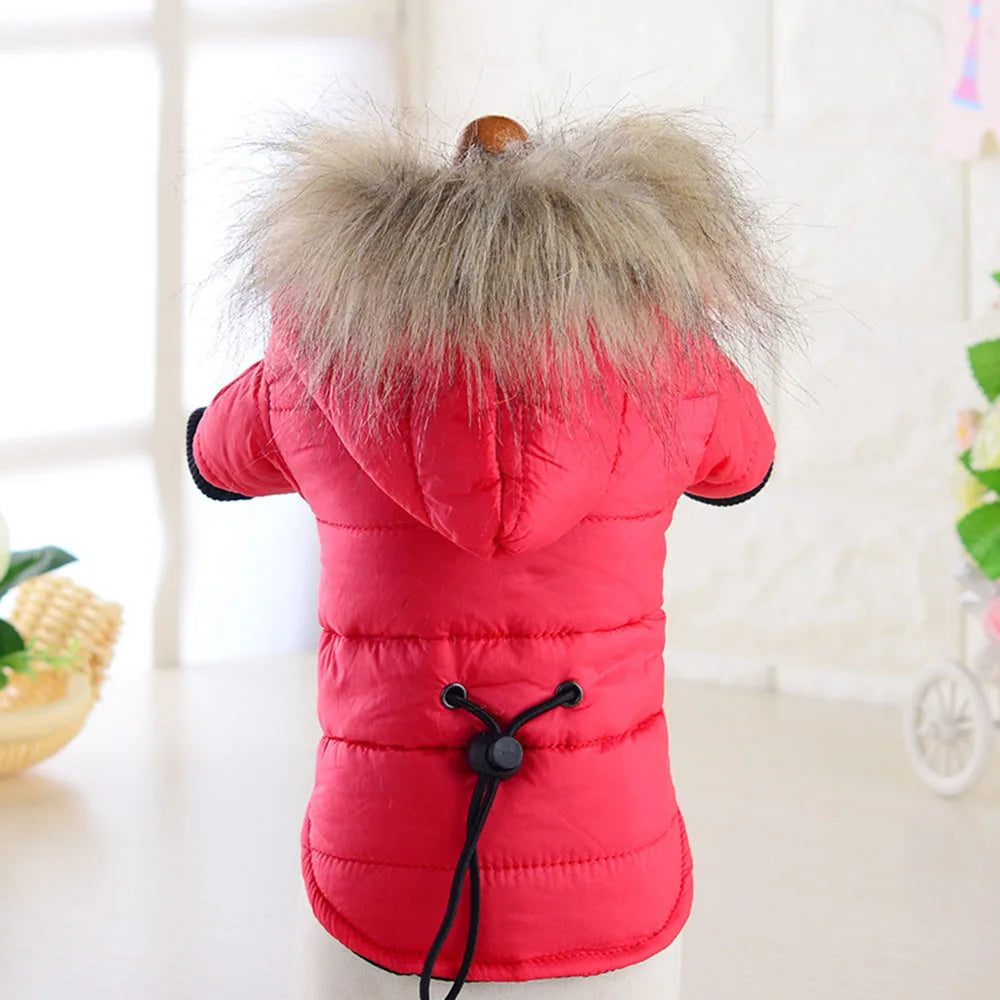 Dog Coat Small Dog Jacket Windproof Warm Padded down Hoes 