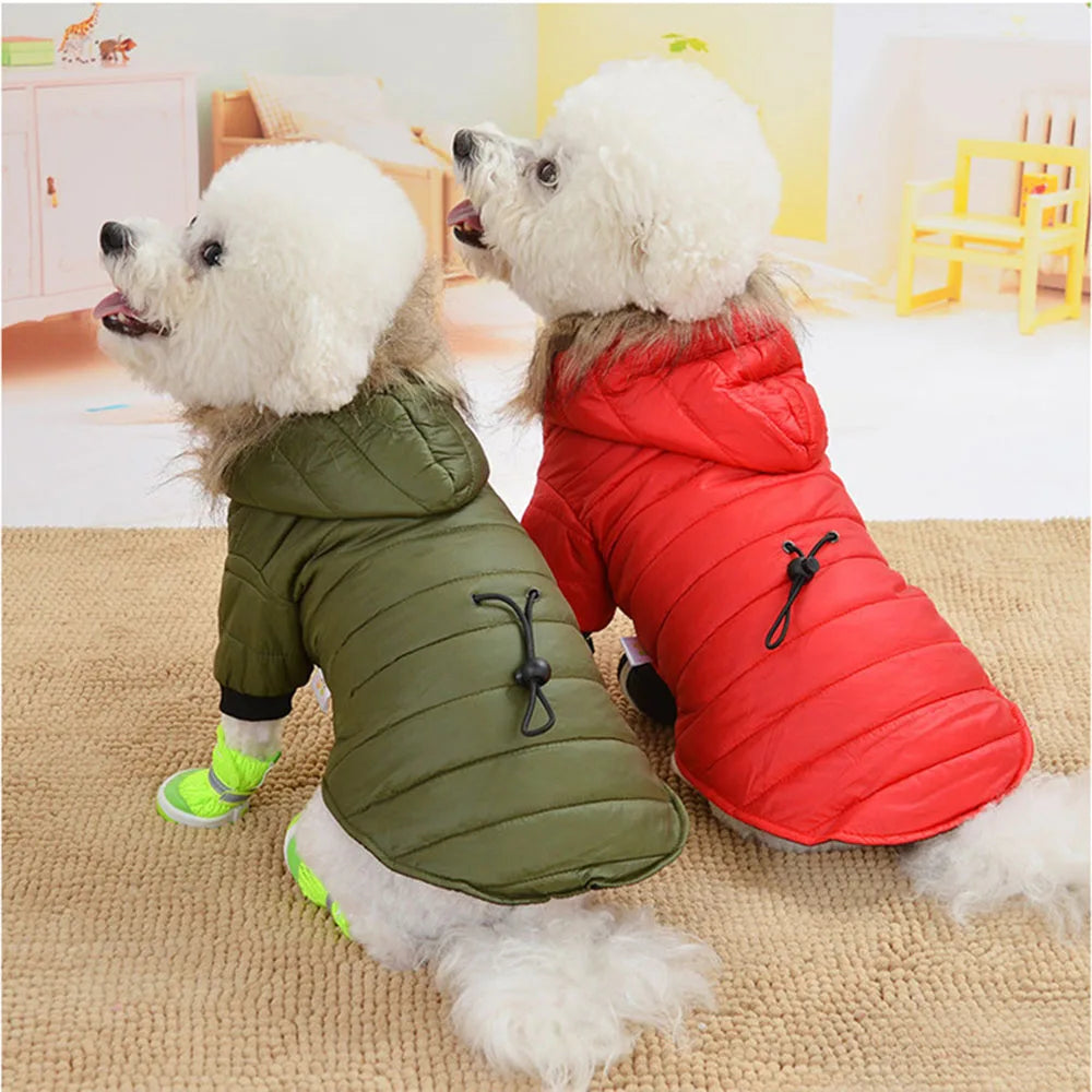 Dog Coat Small Dog Jacket Windproof Warm Padded down Hoes 